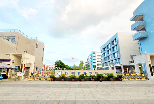 【惠聲IP網絡廣播案例】貴州松桃群希學校