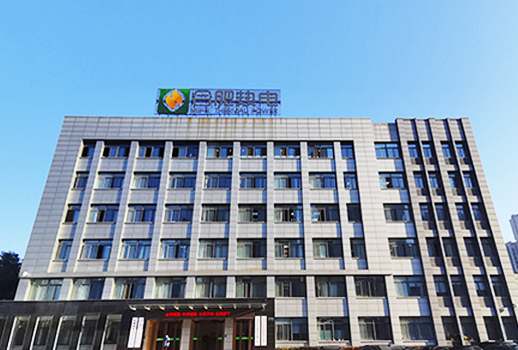 【惠聲會議擴聲系統(tǒng)案例】安徽省合肥熱電集團